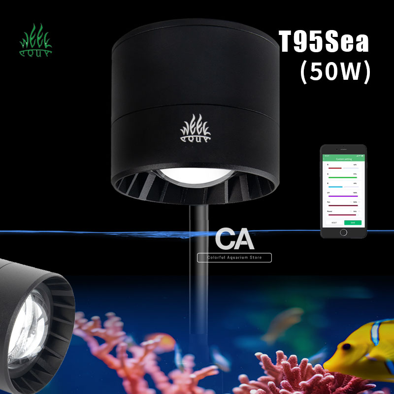 Aqua Marine Tank - WEEK AQUA Fabricantes de Lámparas para