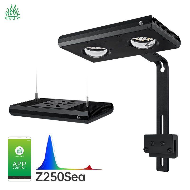 Aqua Marine Tank - Lámpara LED para Acuario Week Aqua
