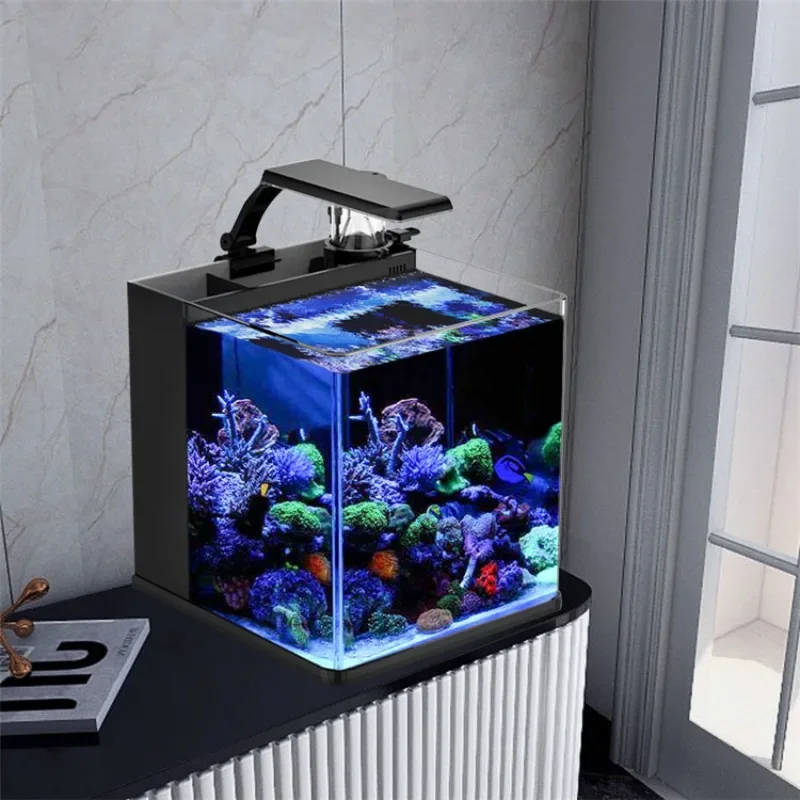 Aquarium Marine Fish For Sale - Acuario Marino de Agua Salada Mini