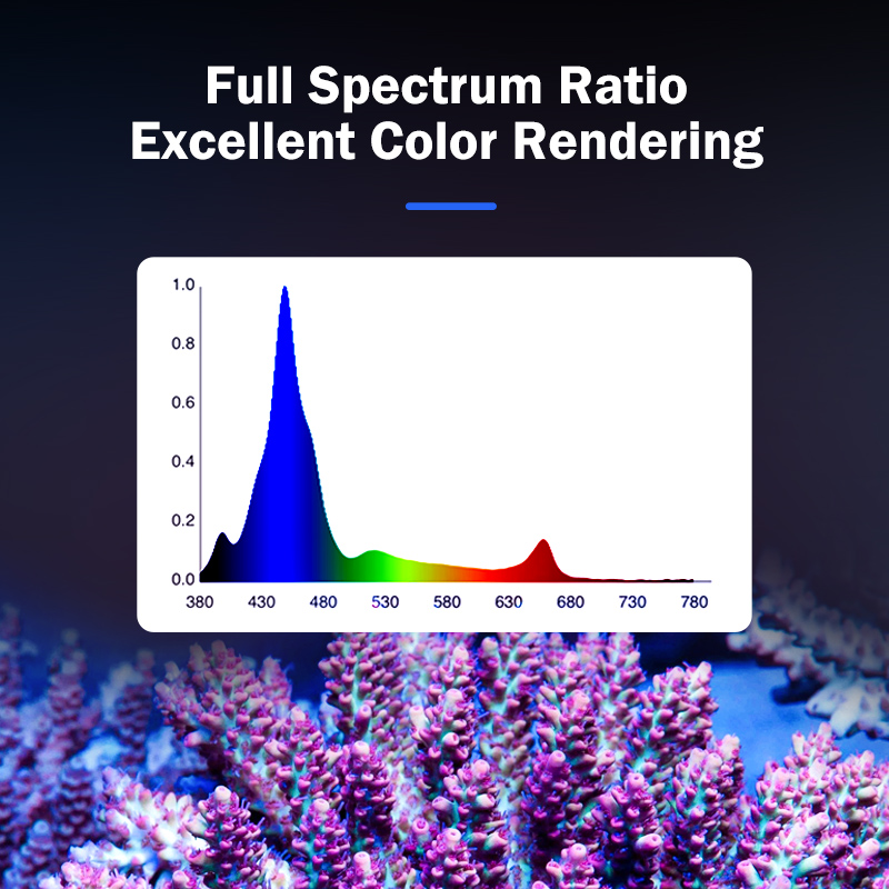 Lámpara LED de espectro comple - Marine Aquarium & Regional Centre Reviews reseña y precio