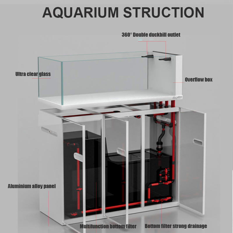 Gran tanque de peces de vidrio - Aquarium Marine Fish For Sale reseña y precio
