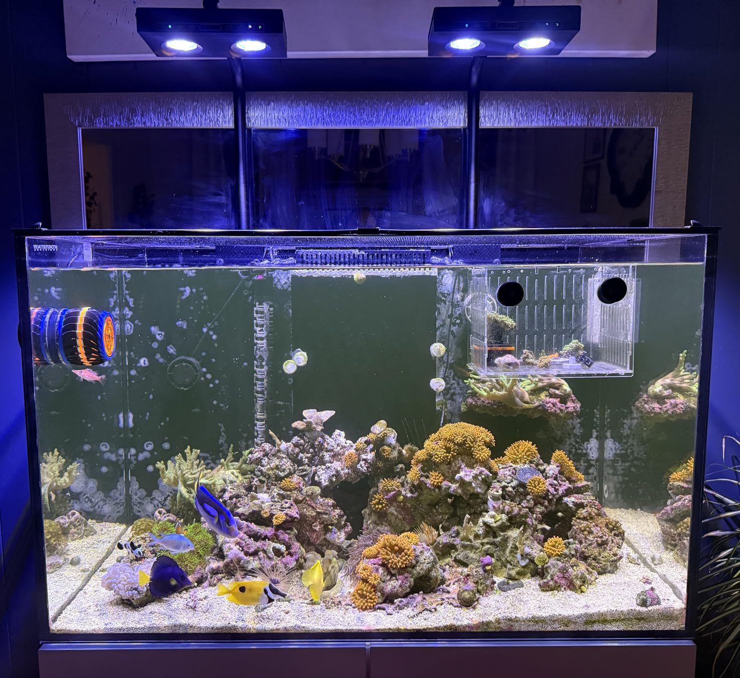 Lámpara LED de Alta Potencia p - Aqua Marine Tank reseña y precio