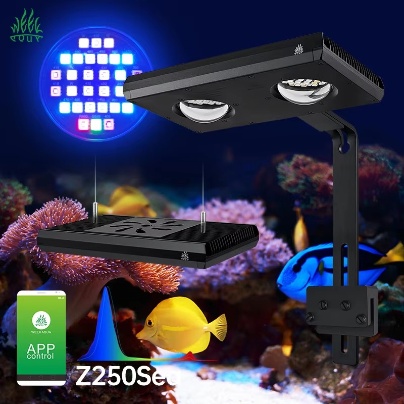 Lámpara LED para Acuarios Mari - Aqua Marine Tank reseña y precio