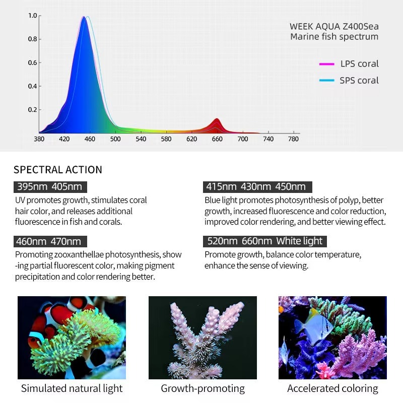 Lámpara LED para Acuarios Mari - Aqua Marine Tank reseña y precio