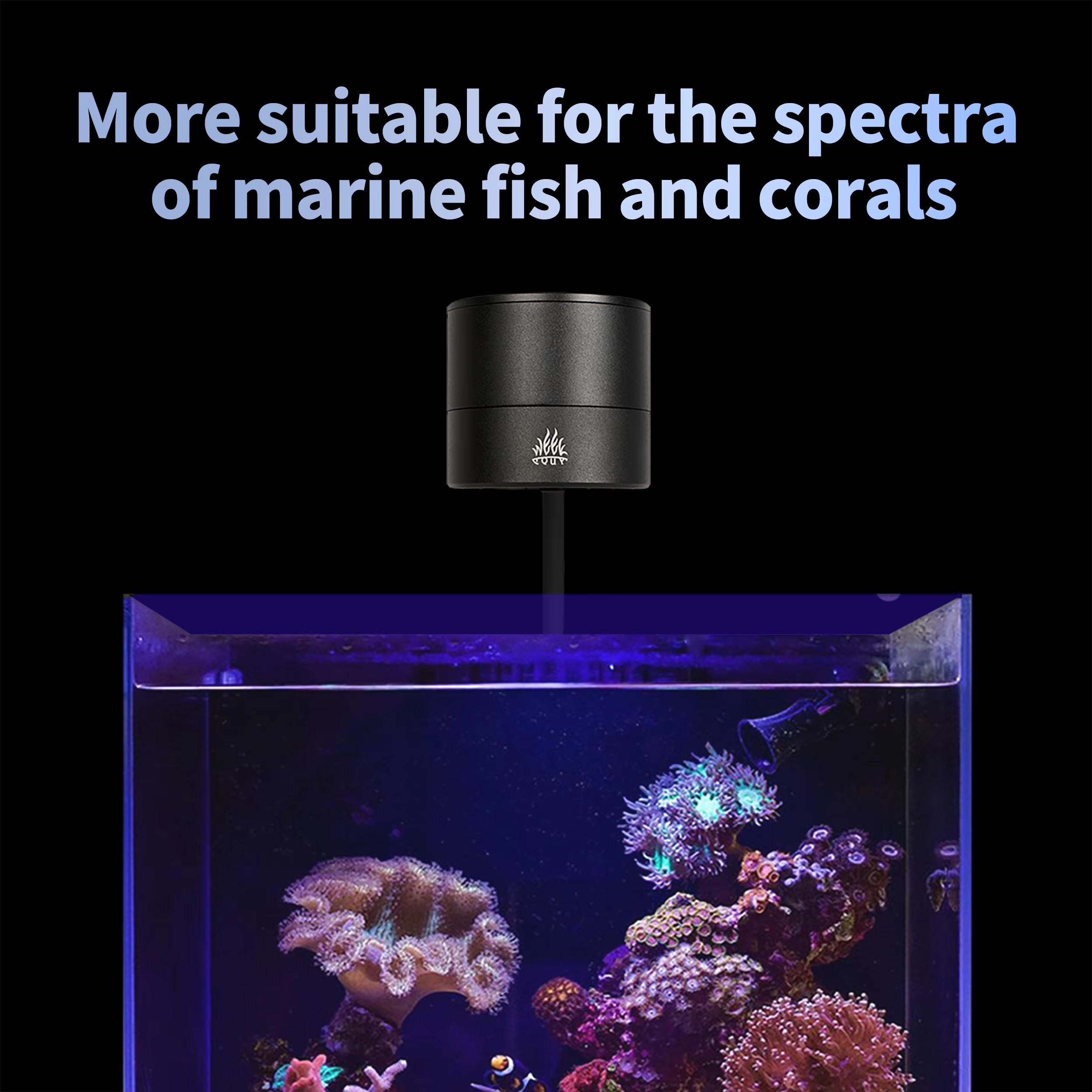 WEEK AQUA Fabricantes de Lámpa - Aqua Marine Tank reseña y precio