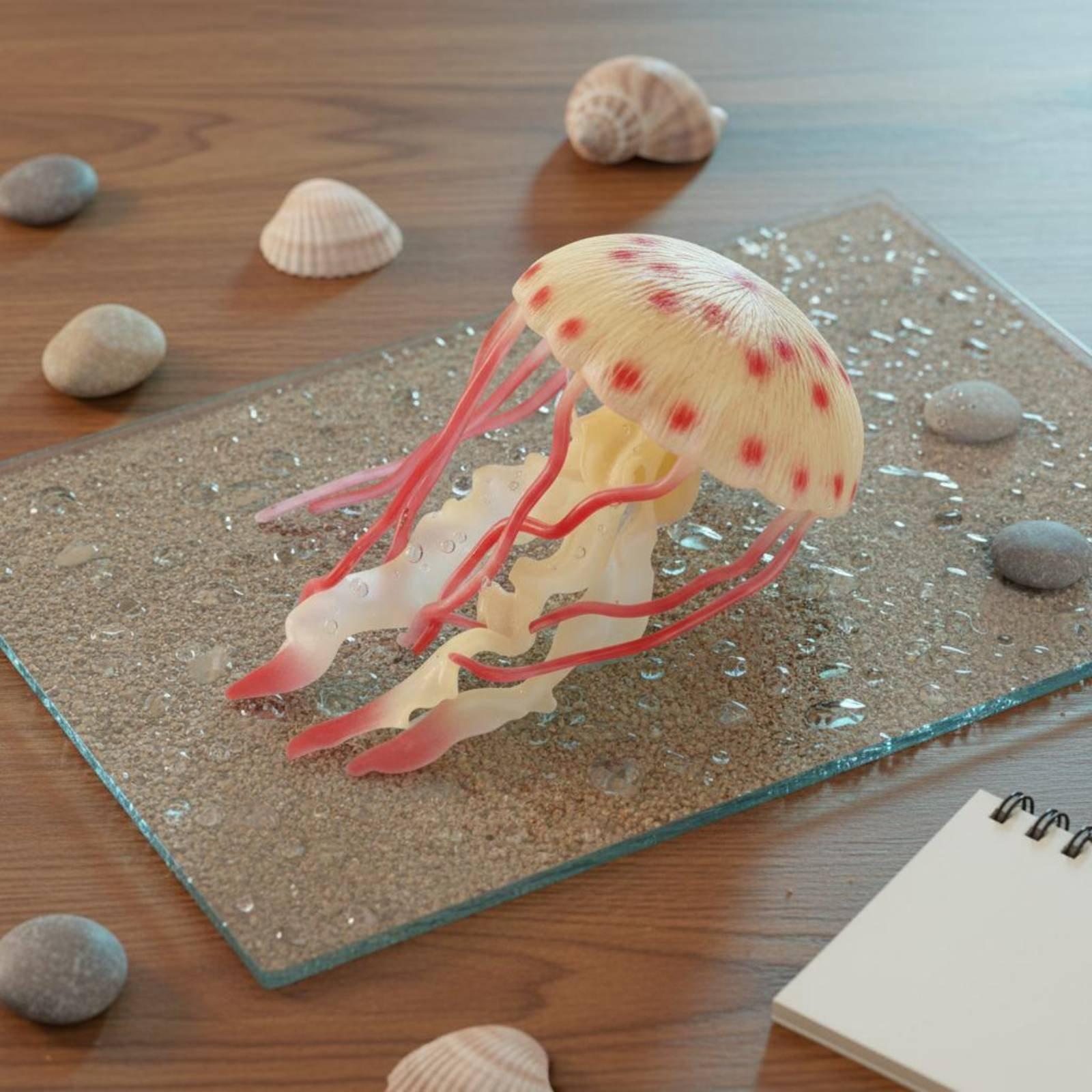 Figura de Cangrejo Realista de - Marine Aquarium & Regional Centre Reviews reseña y precio