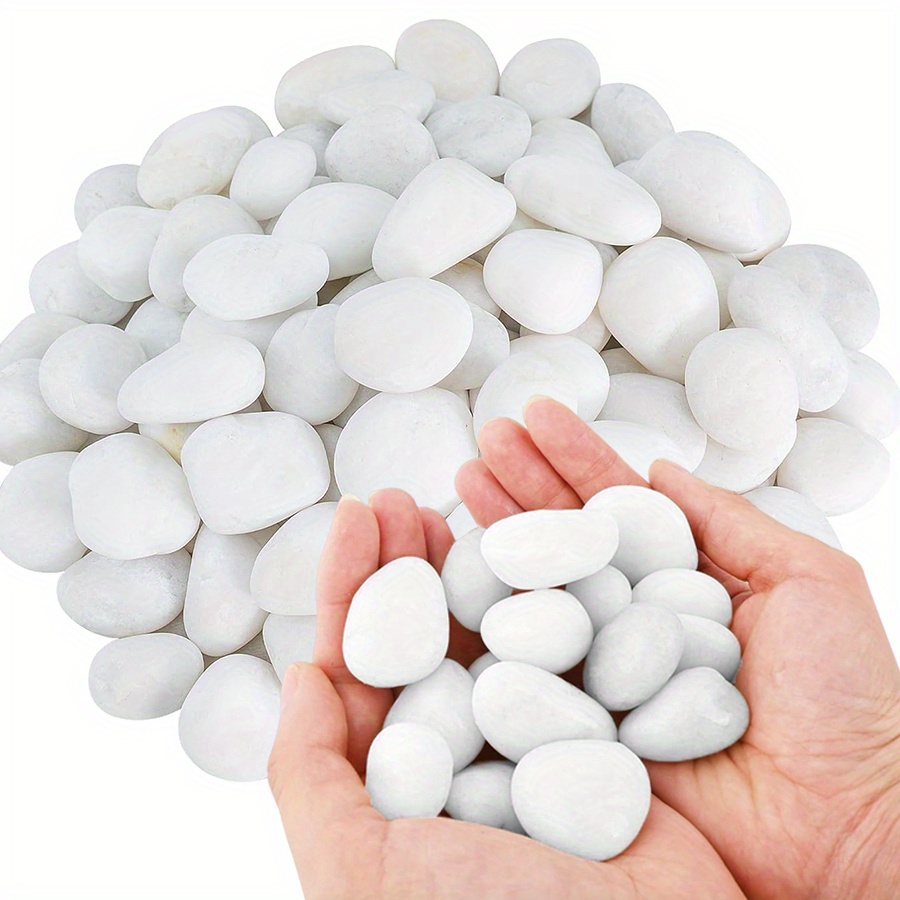 200/400g guijarros naturales b - Aquarium Marine Tank reseña y precio