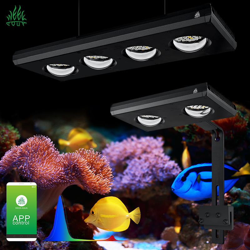 Lámpara LED para Acuario Week  - Aqua Marine Tank reseña y precio