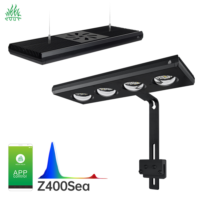 Lámpara LED para Acuario Week  - Aqua Marine Tank reseña y precio