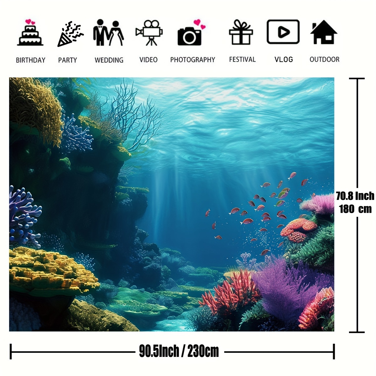 1 unidad. Telaraña plana 2D co - Marine Aquarium & Regional Centre Reviews reseña y precio