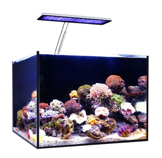 Lámpara LED para Acuario MicMo - Aqua Marine Tank reseña y precio