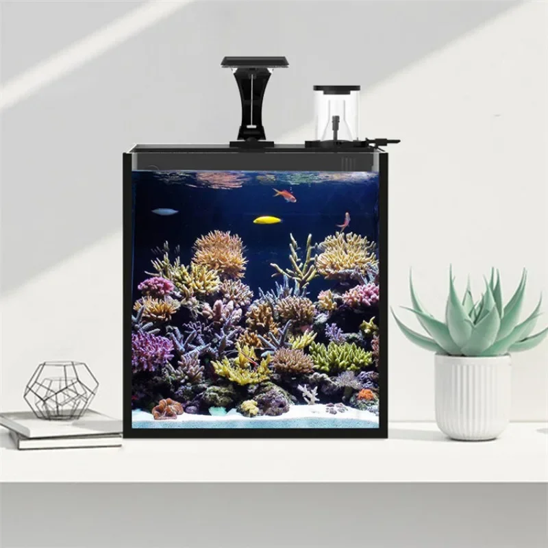 Acuario Marino de Agua Salada  - Aquarium Marine Fish For Sale reseña y precio
