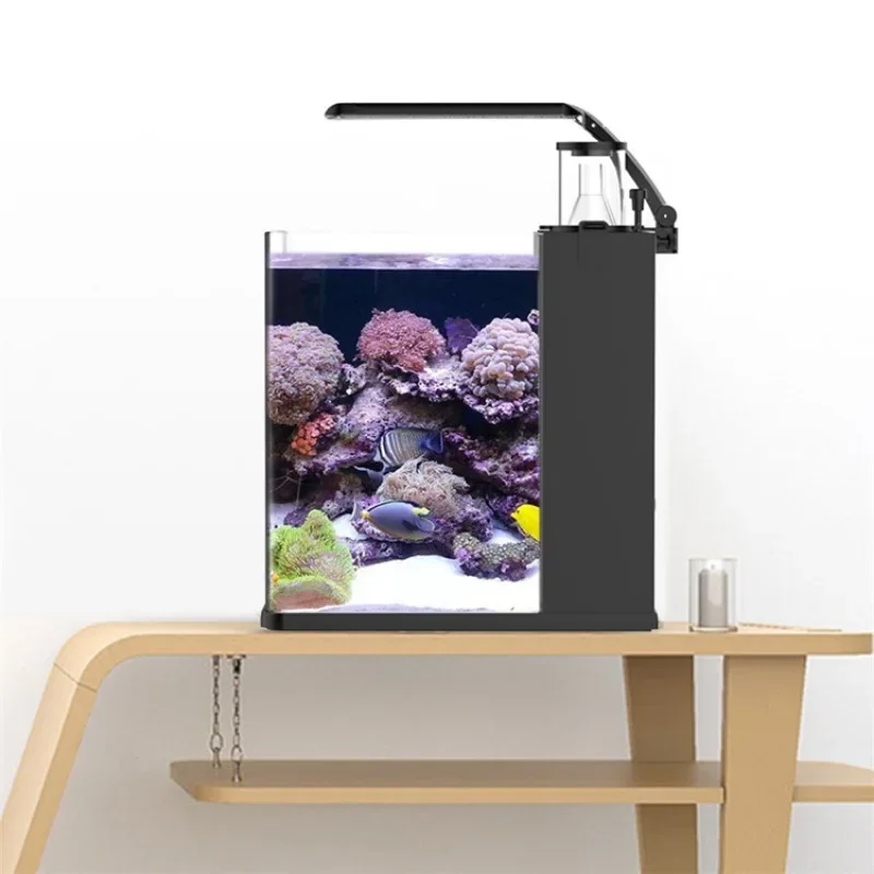 Acuario Marino de Agua Salada  - Aquarium Marine Fish For Sale reseña y precio