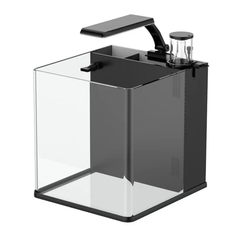 Acuario Marino de Agua Salada  - Aquarium Marine Fish For Sale reseña y precio