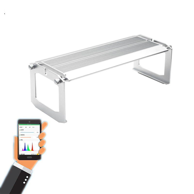 WEEK AQUA Luz LED Vívida para  - Aqua Marine Tank reseña y precio