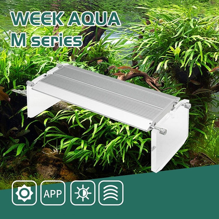 WEEK AQUA Luz LED Vívida para  - Aqua Marine Tank reseña y precio